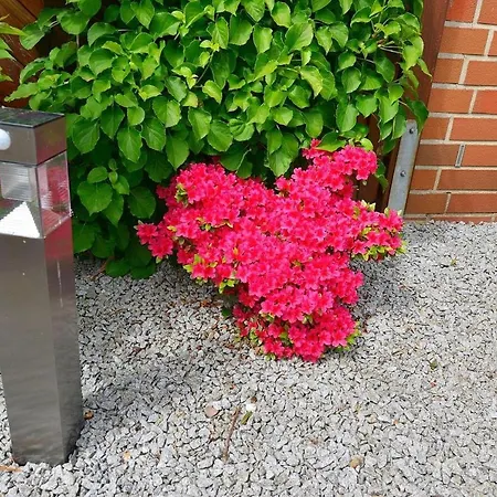 Flockengrund V15u Cuxhaven
